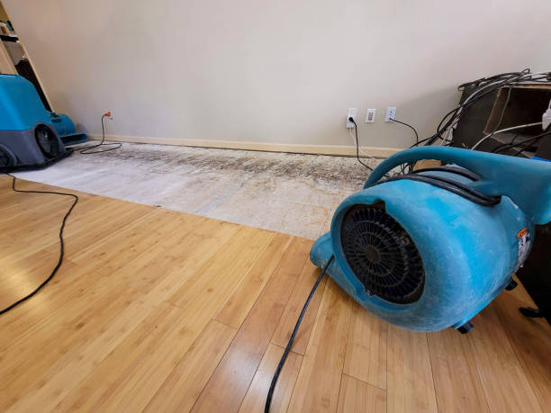 Professional Sewage Cleanup technician working in Gettysburg, PA